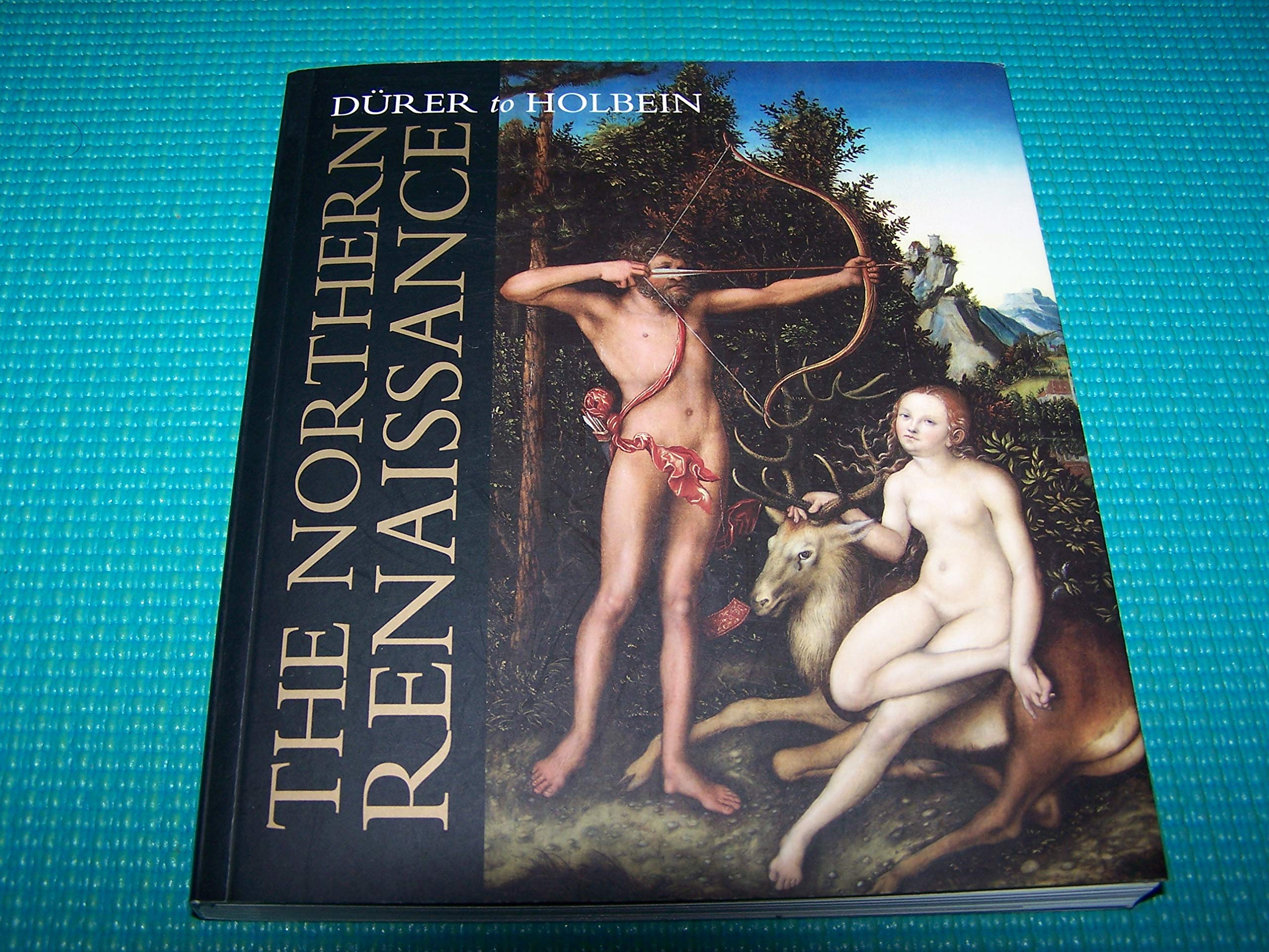 The Northern Renaissance : Dürer to Holbein Books