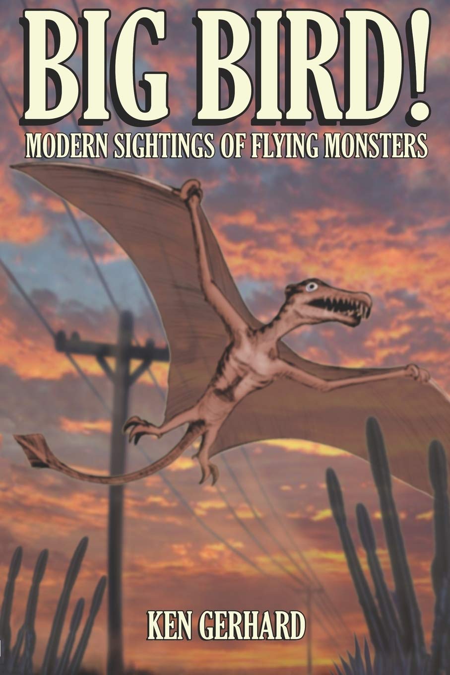 BIG BIRD! - MODERN SIGHTINGS OF FLYING MONSTERS Leisure, Home & Garden