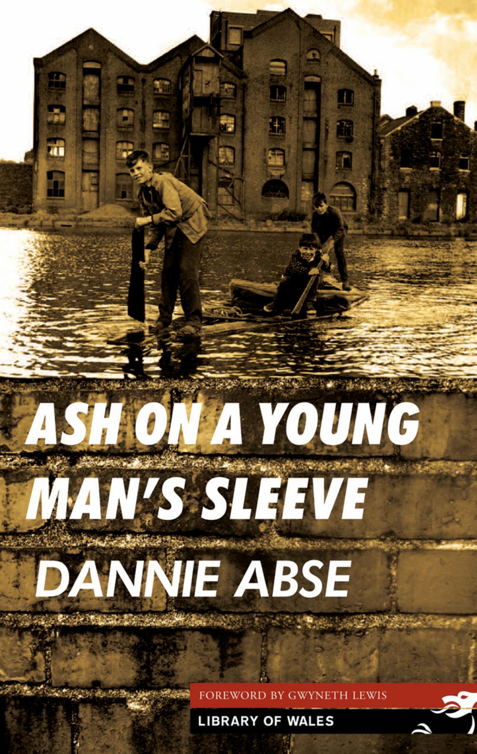 Ash on a Young Man's Sleeve (Library of Wales, Band 9) Contemporary literature