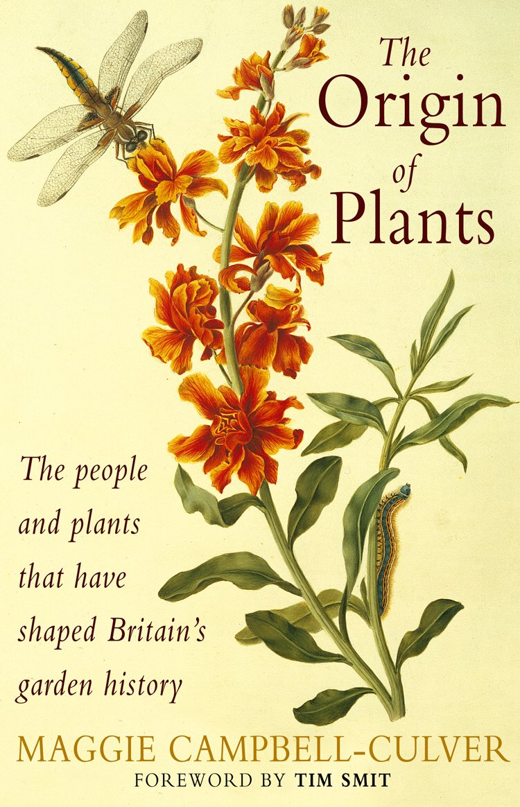 The Origin Of Plants Mathematics