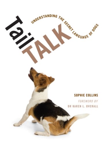 Tail Talk: Understanding the Secret Language of Dogs Pets