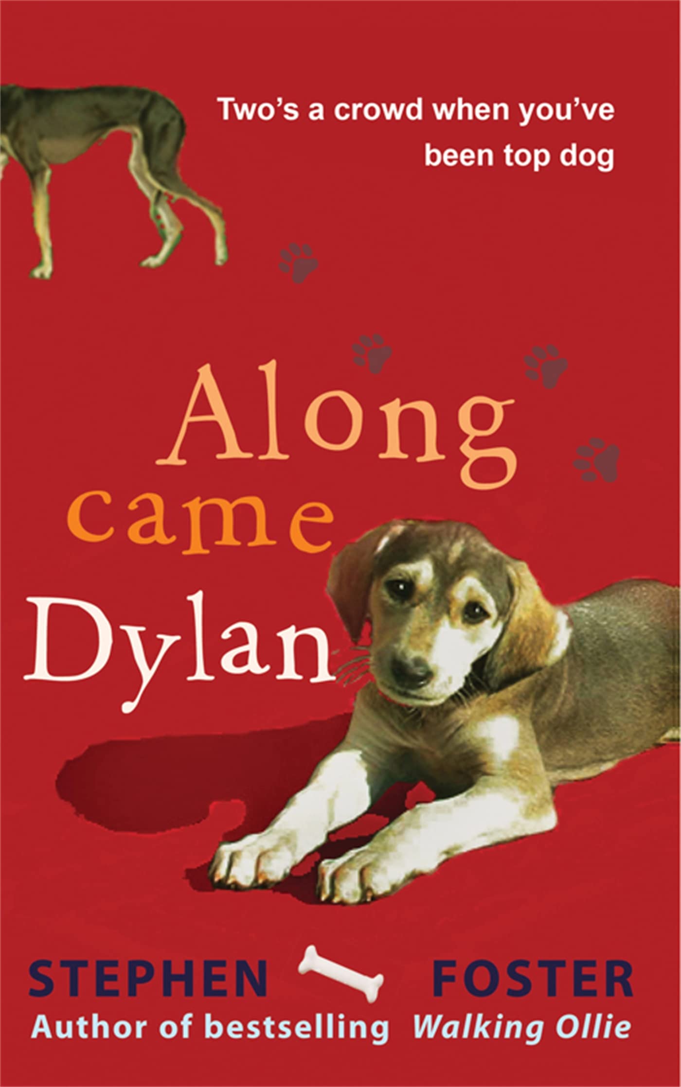 Along Came Dylan: Two's a Crowd When You've Been Top Dog Pets