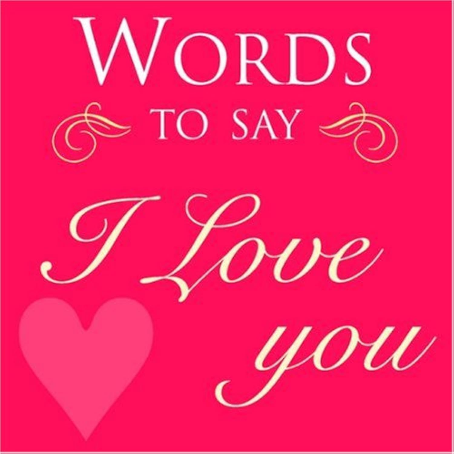 Words to Say I Love You book