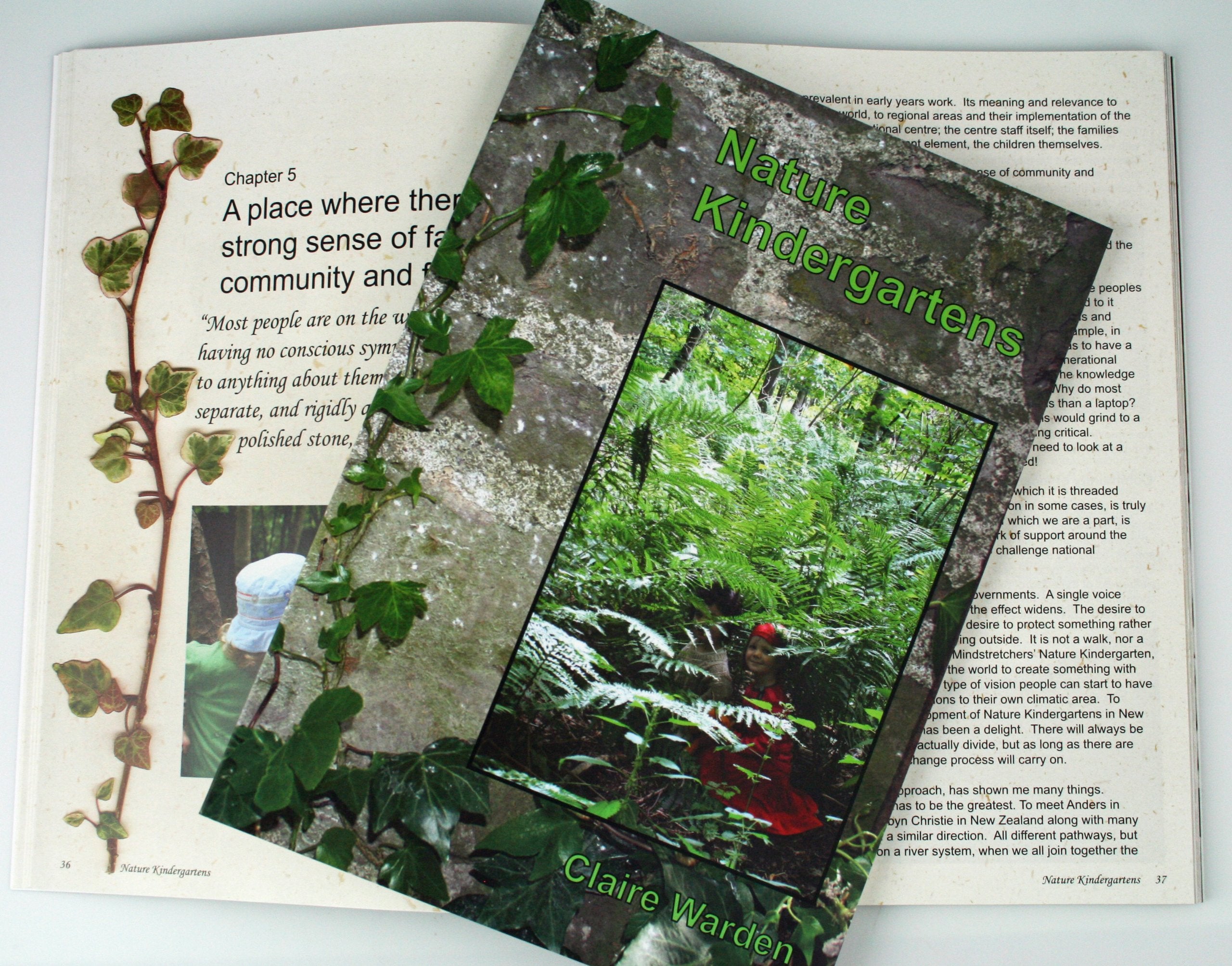 Nature Kindergartens: An Exploration on Naturalistic Learning within Nature Kindergartens and Forest Schools Study Guides