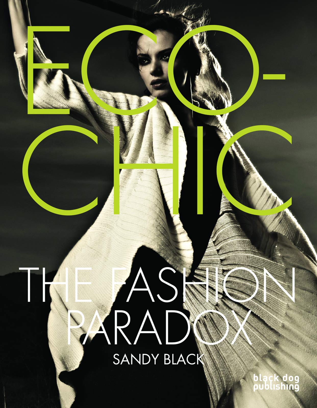 Eco-Chic: The Fashion Paradox Business, Finance & Career
