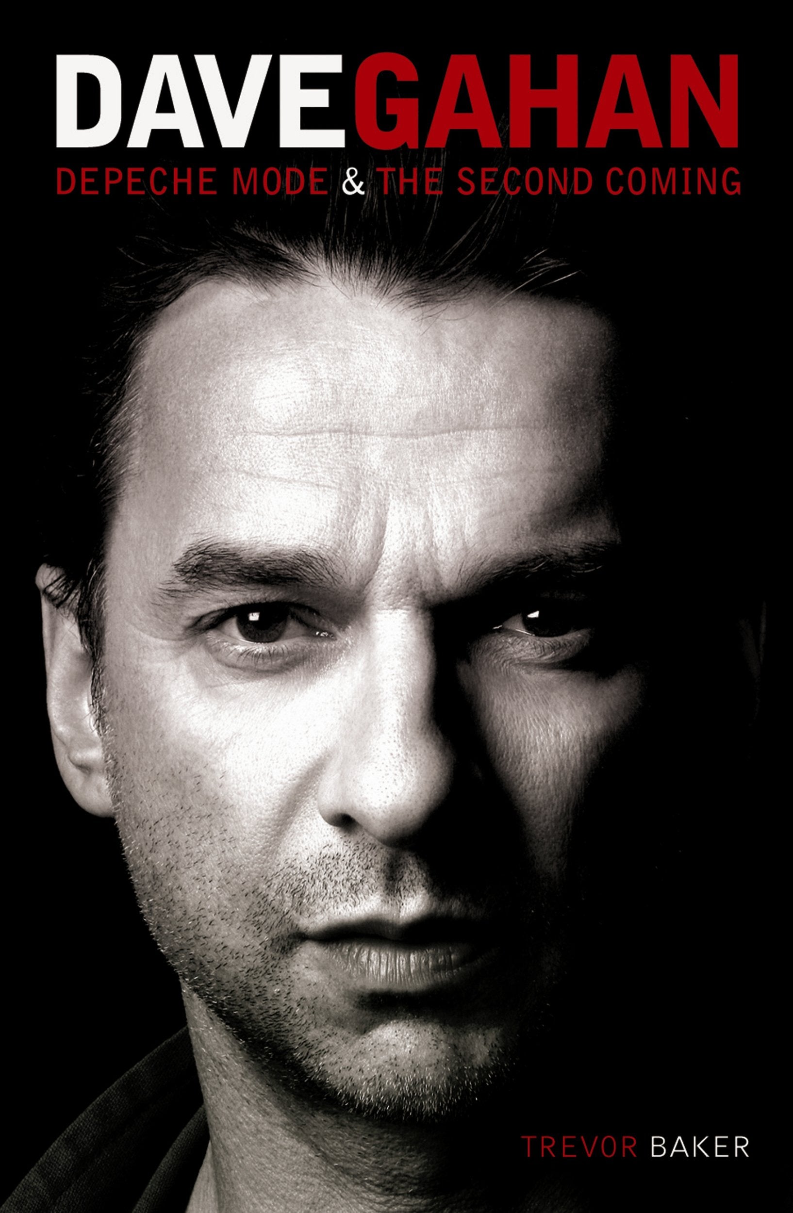 Dave Gahan Pop culture Books