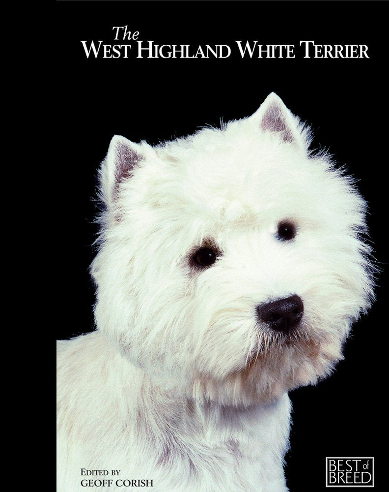 West Highland White Terrier (Best of Breed) Pets