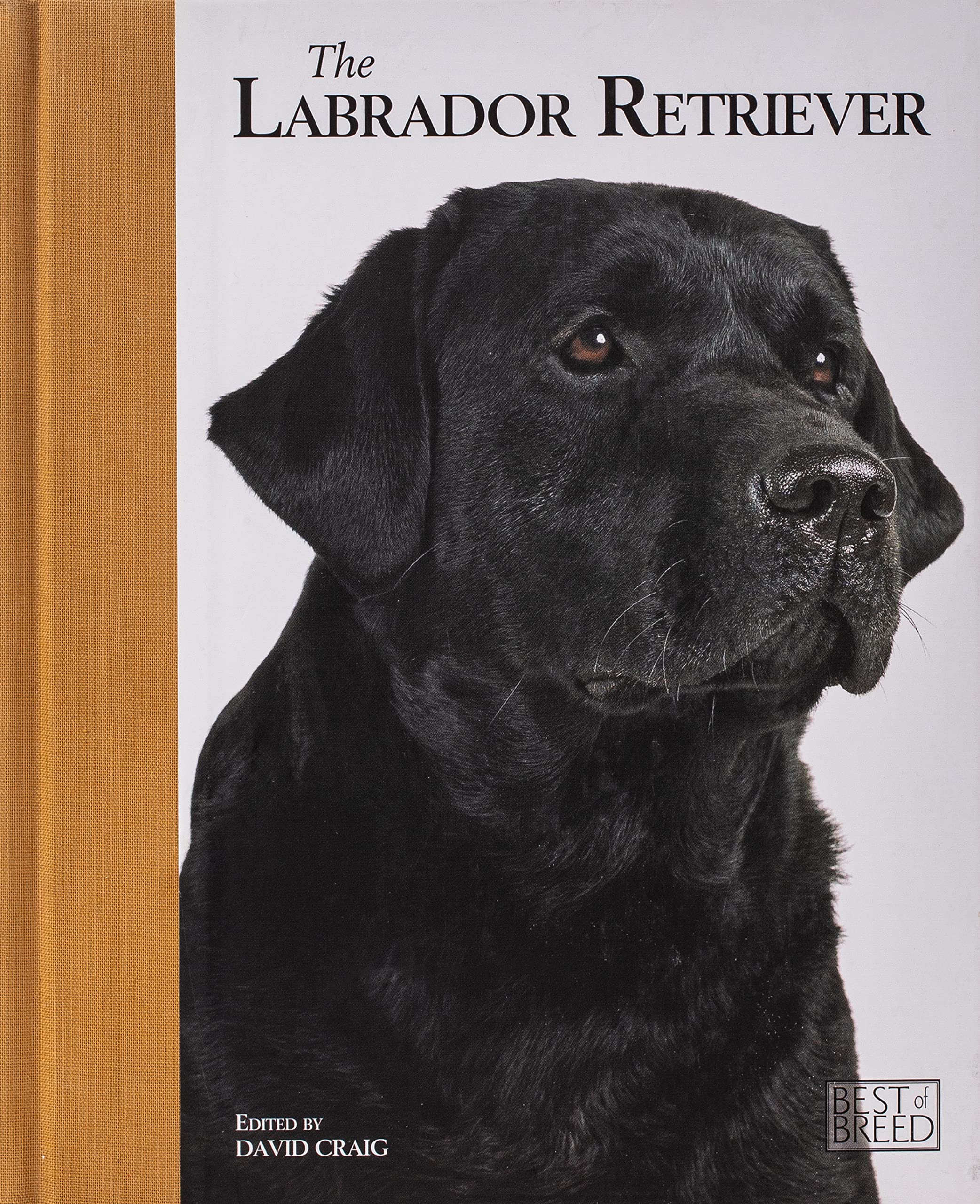 The Labrador Retriever: Pet Book (Best of Breed) Pets