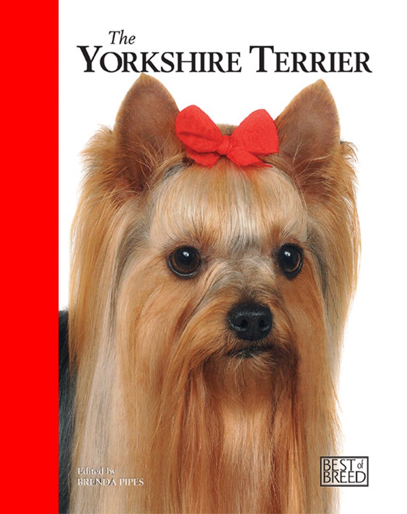 Yorkshire Terrier: Pet Book (Best of Breed) Pets