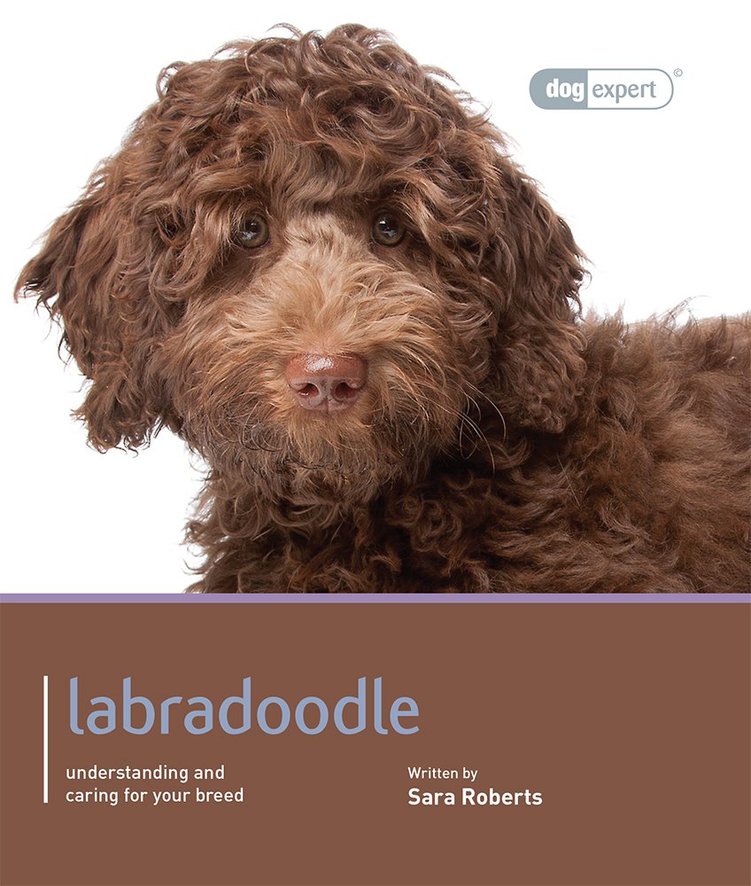 Labradoodle - Dog Expert Books about Pets