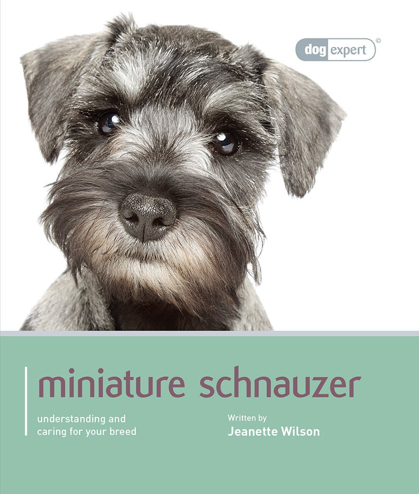 Miniature Schnauzer: Miniature Schnauzer - Dog Expert Pets