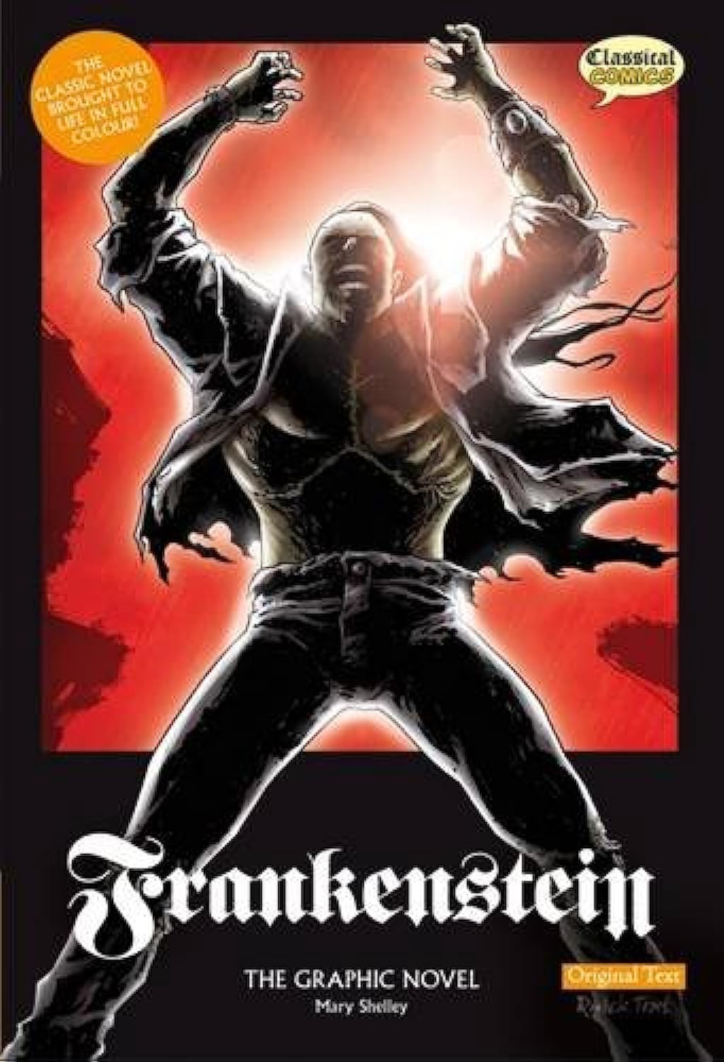 Frankenstein The Graphic Novel Classics