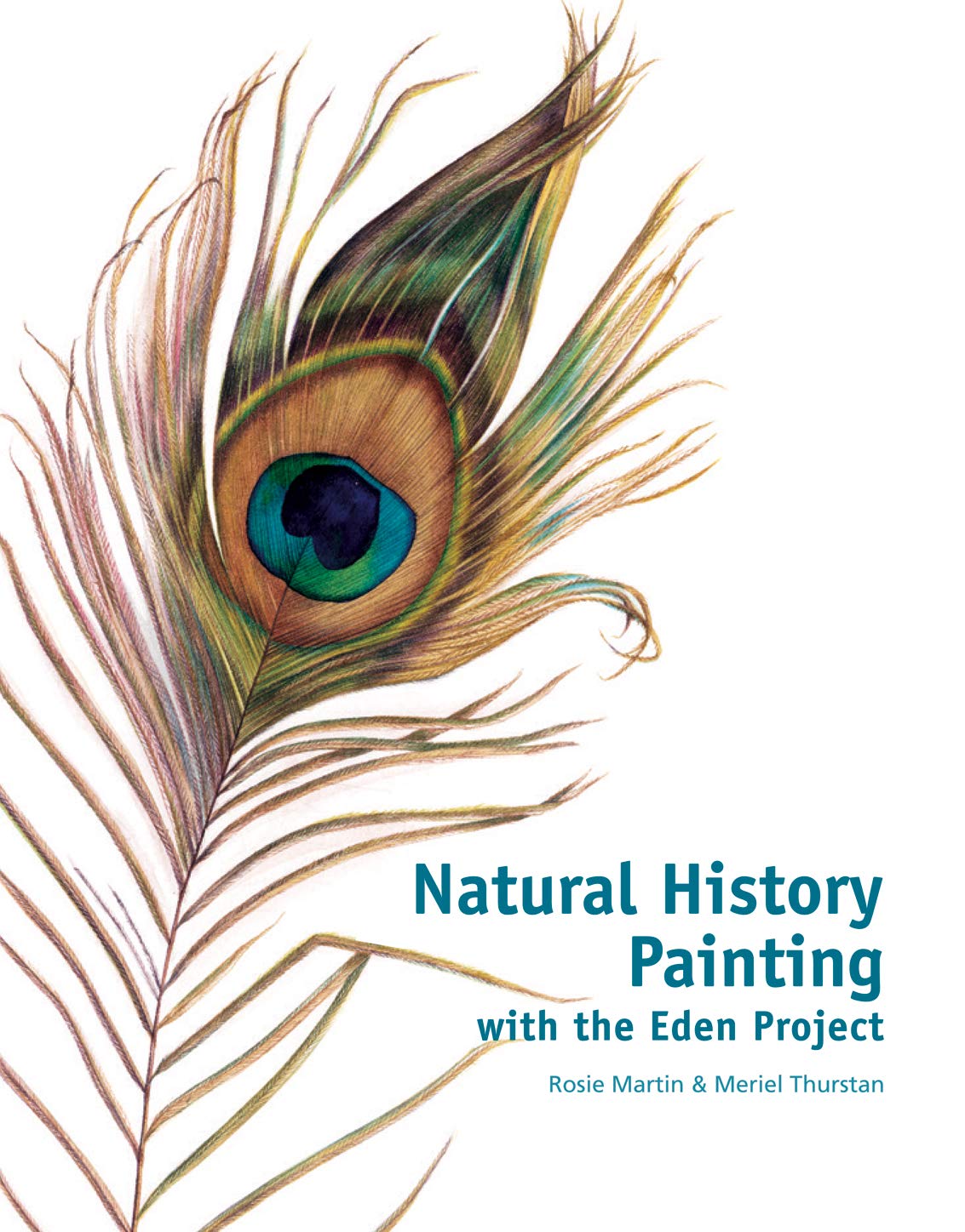 Natural History Painting: With the Eden Project Film, Art & Culture