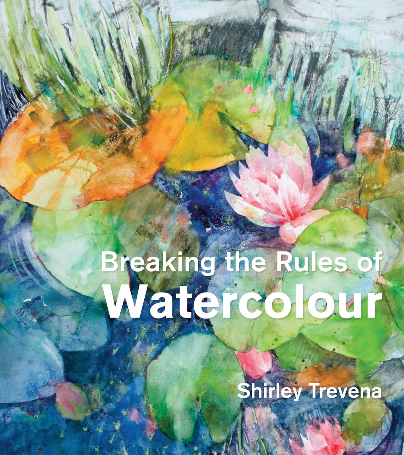 Breaking the Rules of Watercolour: Painting secrets and techniques Film, Art & Culture