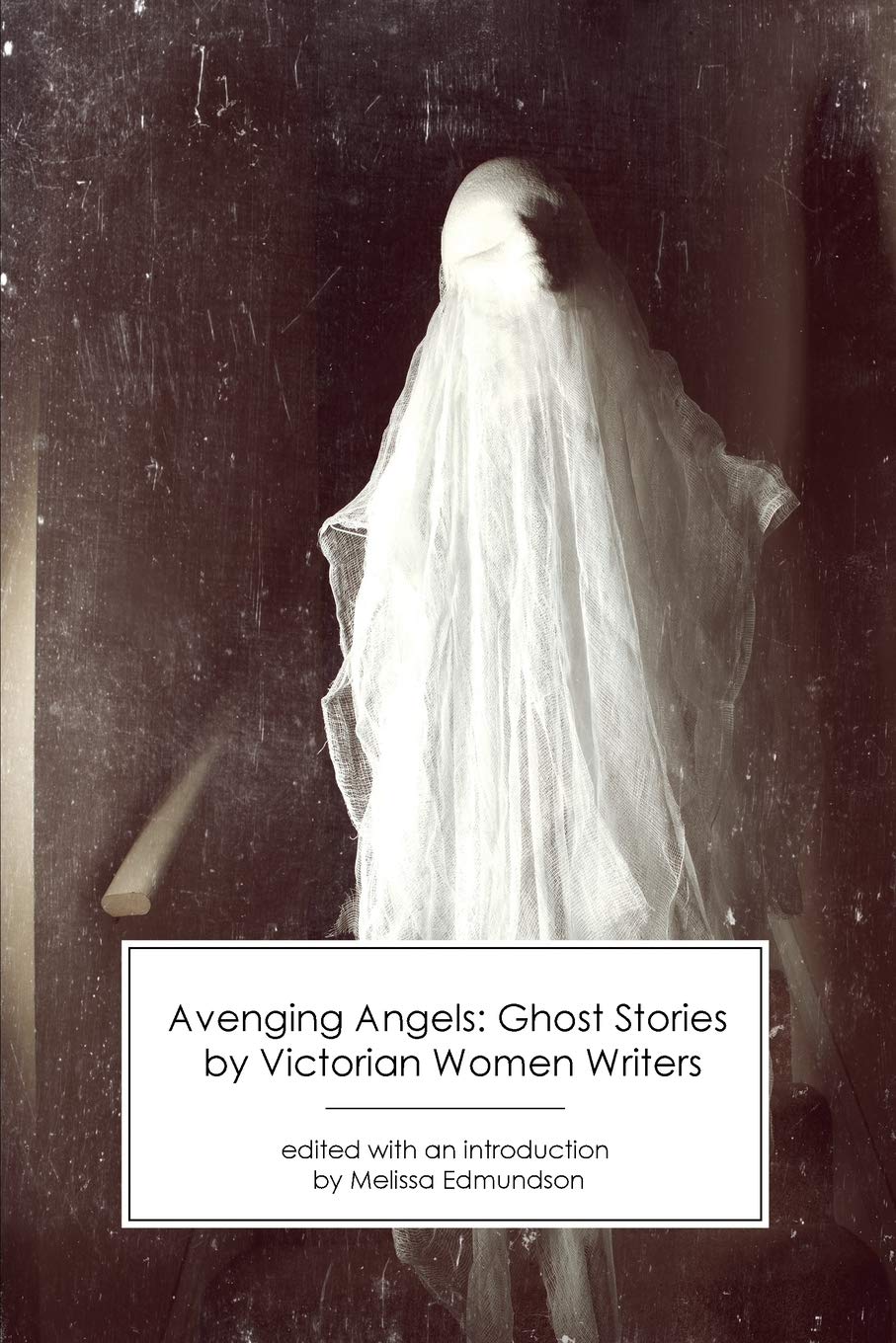 Avenging Angels: Ghost Stories by Victorian Women Writers Horror & Mystery