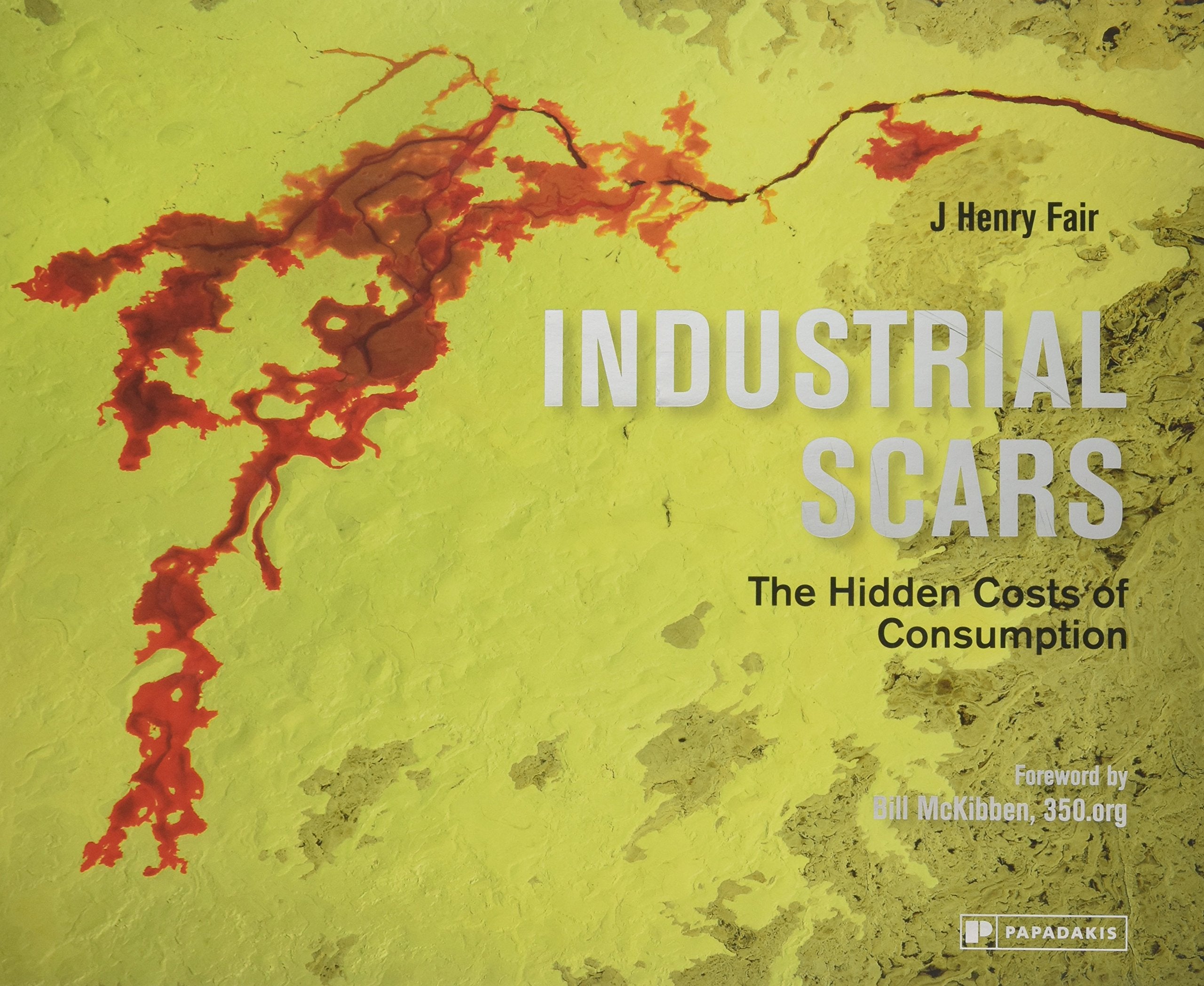 Industrial Scars: The Hidden Costs of Consumption book