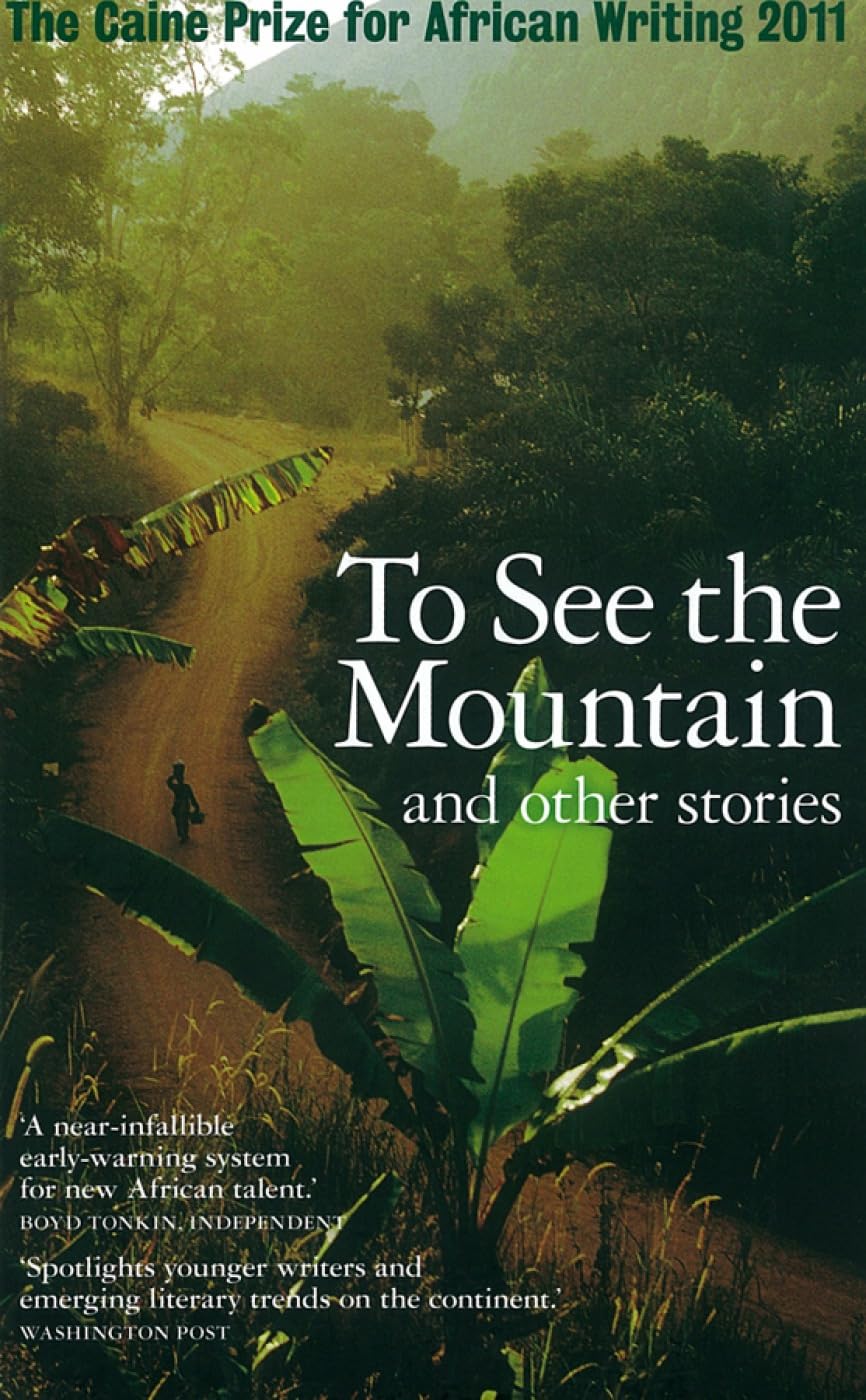 The Caine Prize for African Writing book