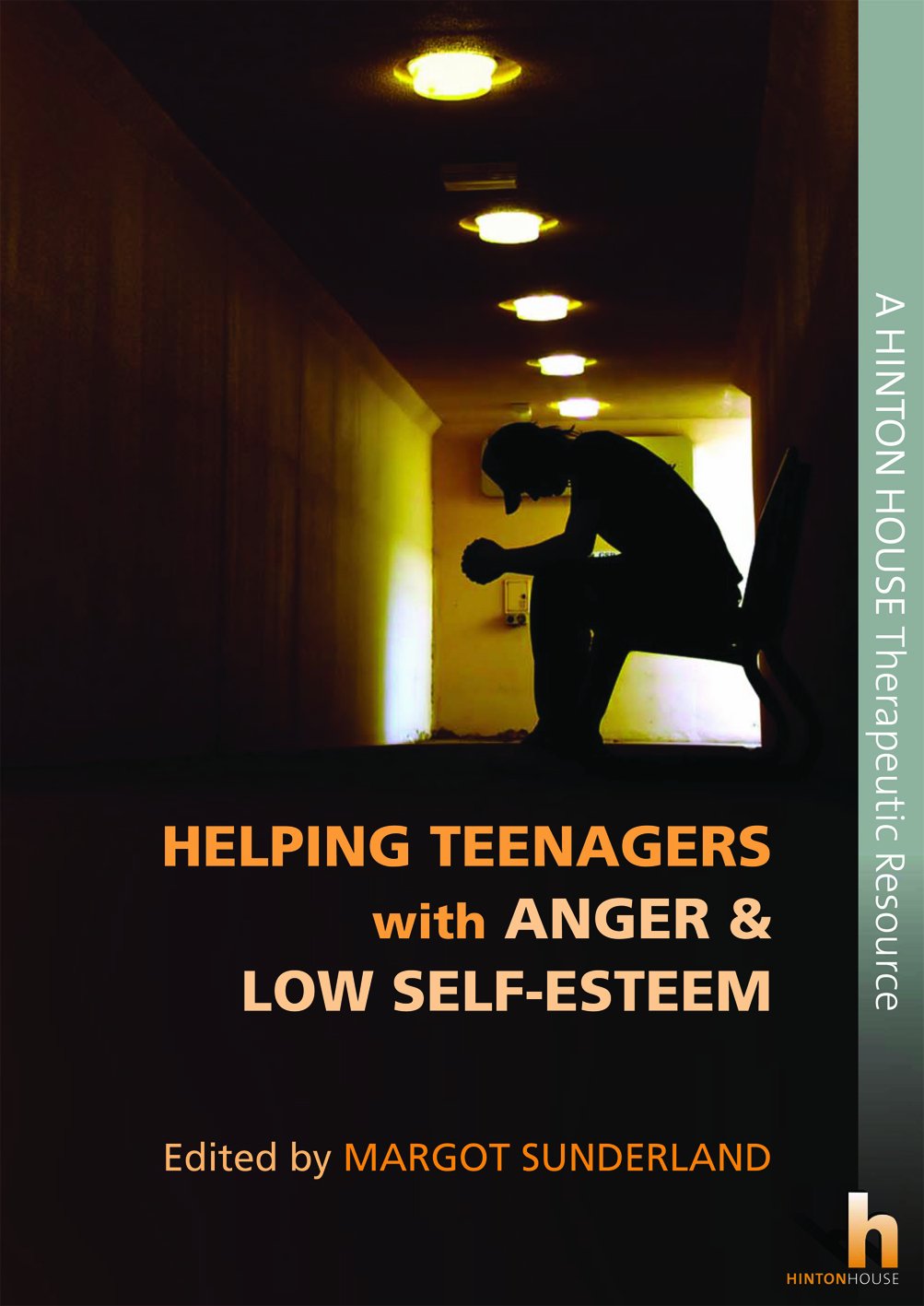 Helping Teenagers with Anger & Low Self-Esteem: Help teens who struggle with anger and feelings of alienation, rejection, anxiety and low self-esteem Education & Training
