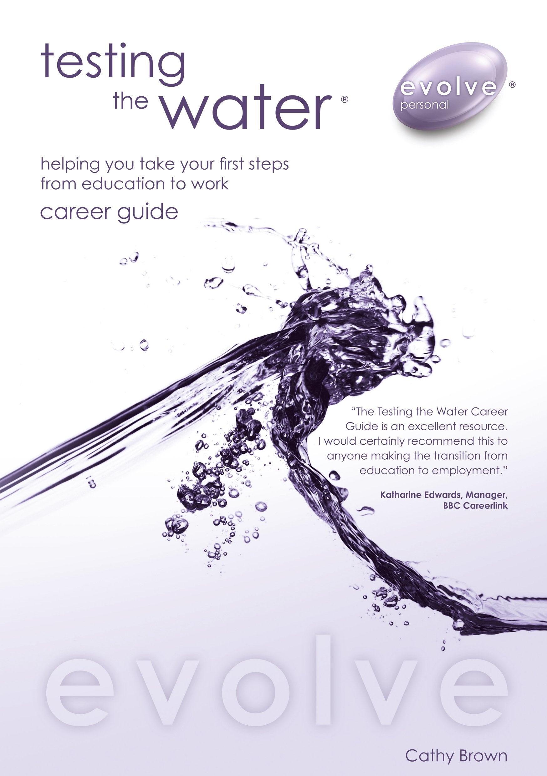 Testing the Water Helping You Take Your First Steps from Education to Work Career Guide: No. 3 Business, Finance & Career