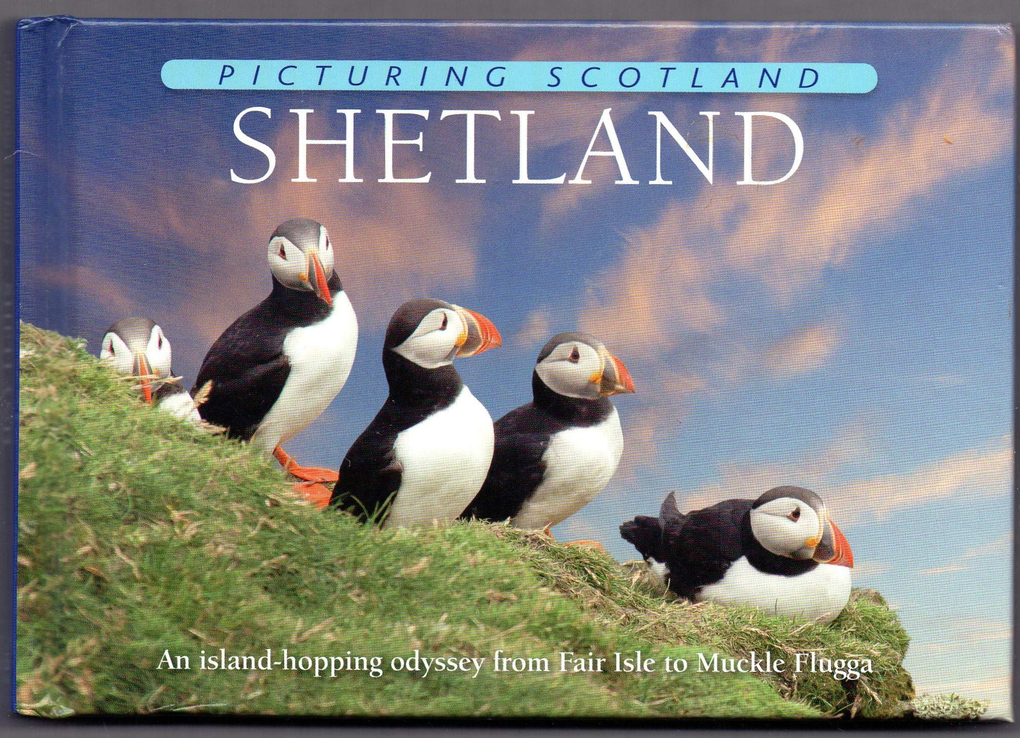 Shetland: Picturing Scotland: An island-hopping odyssey from Fair Isle to Muckle Flugga Leisure, Home & Garden