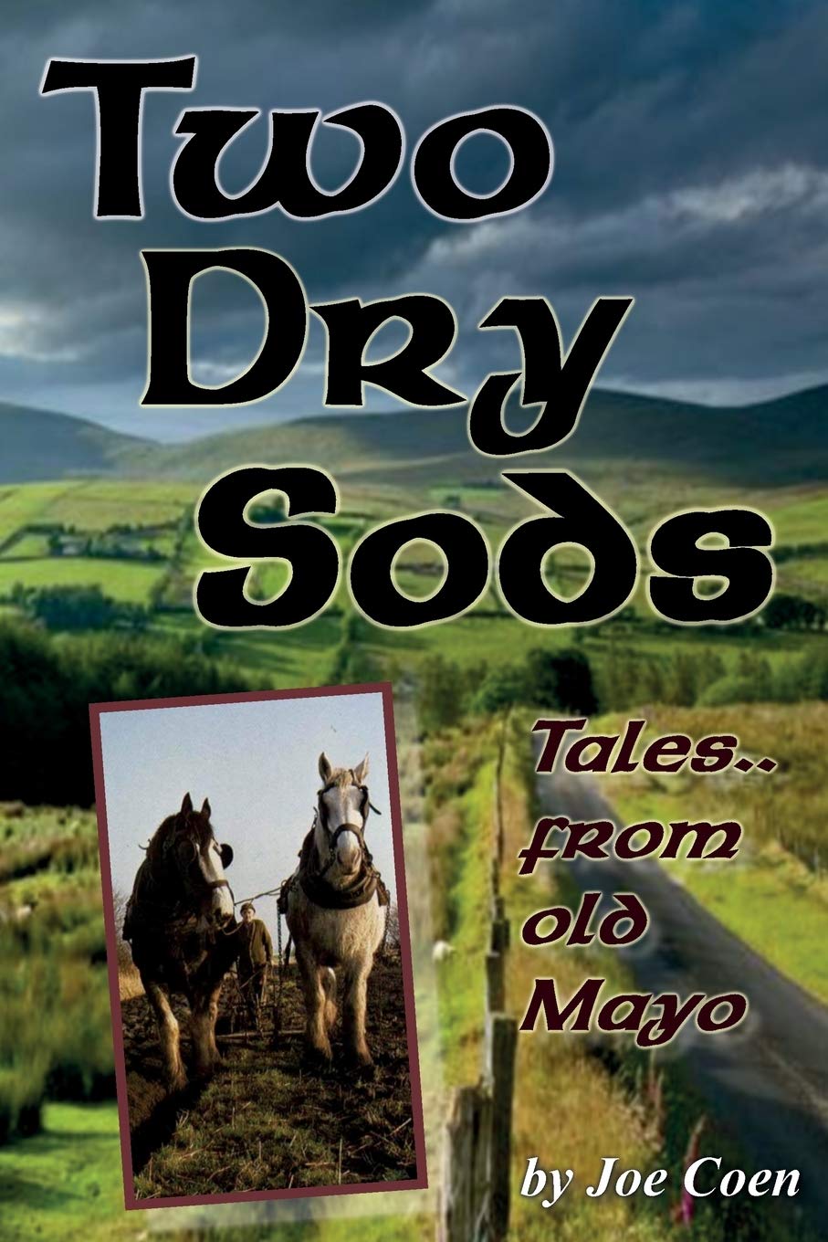 TWO DRY SODS: Tales From Old Mayo Politics & Society