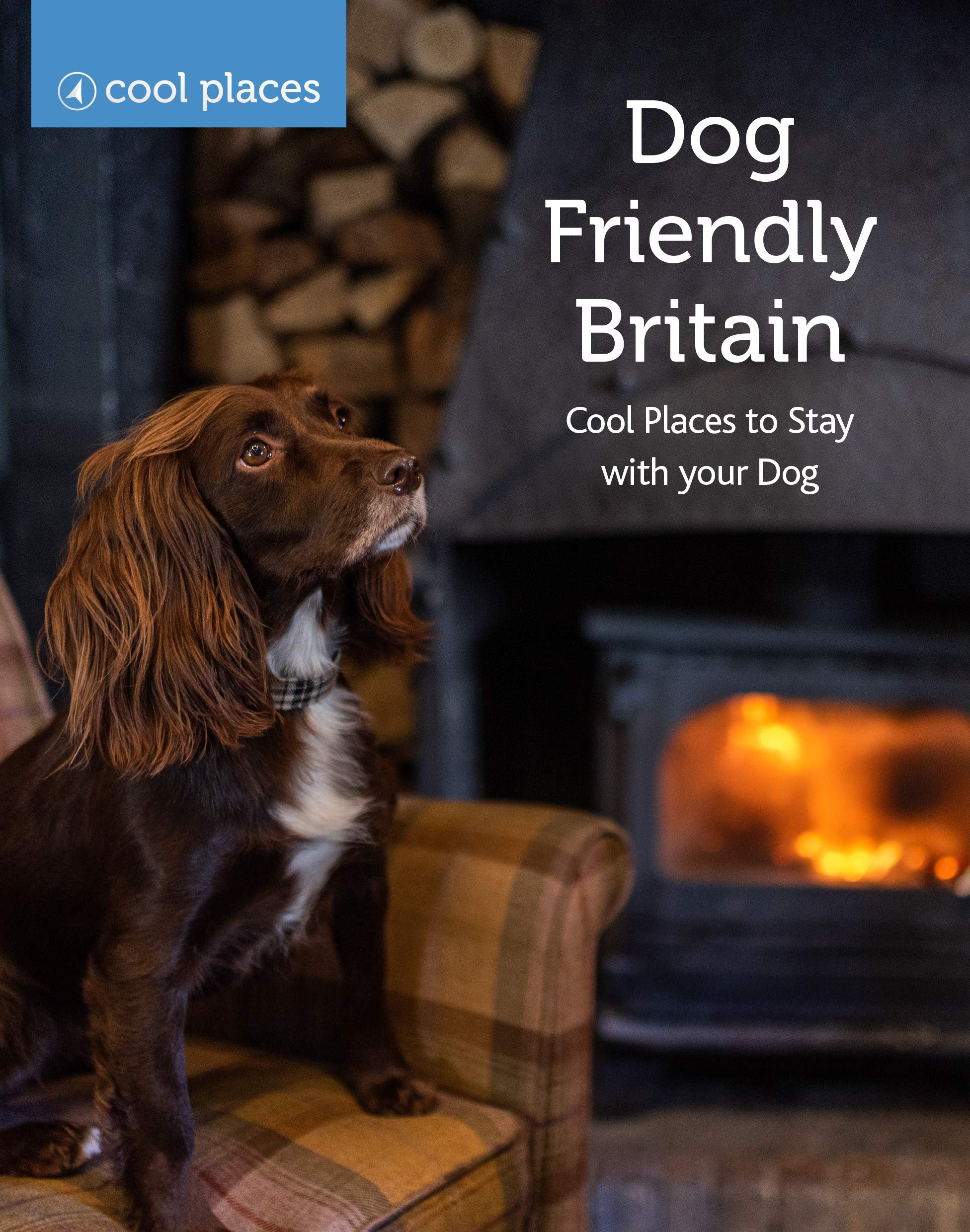 Dog Friendly Britain: Cool Places to Stay with your Dog Leisure, Home & Garden