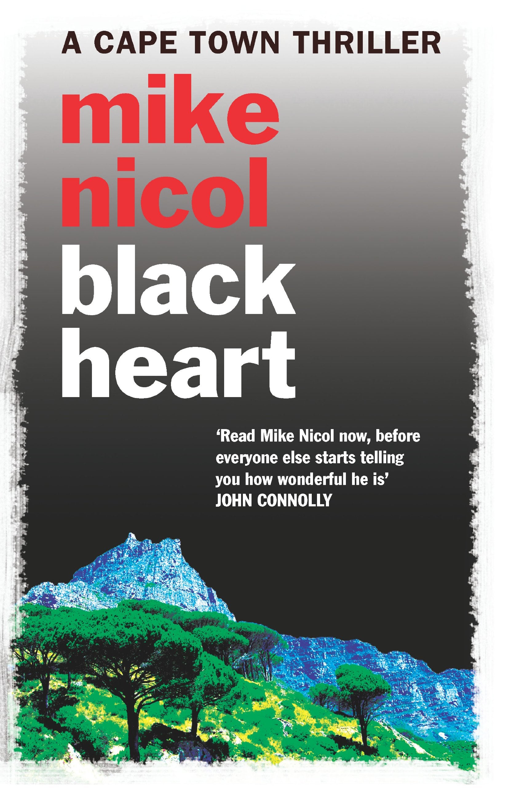 Black Heart: A Cape Town thriller Action & Adventure
