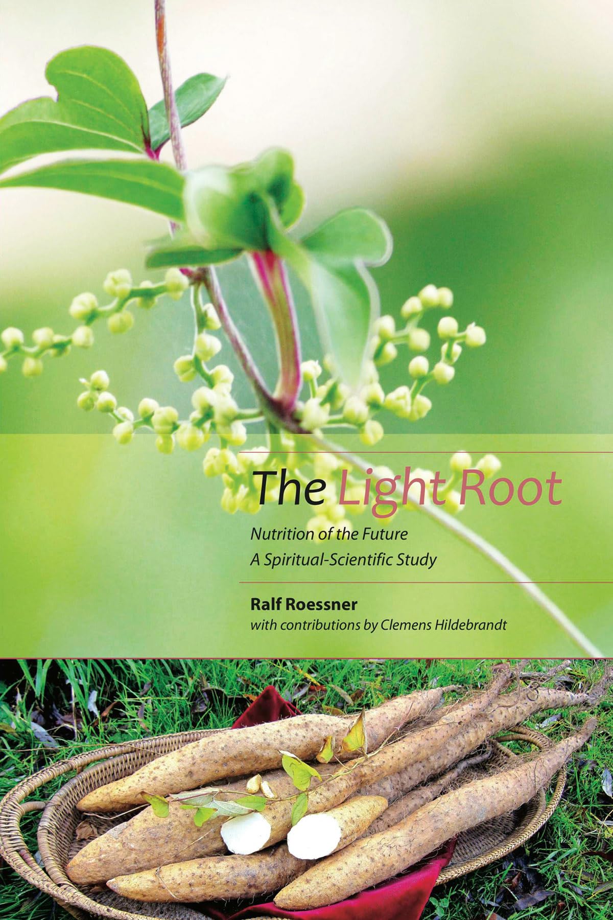 The Light Root: Nutrition of the Future, a Spiritual-Scientific Study Medicine