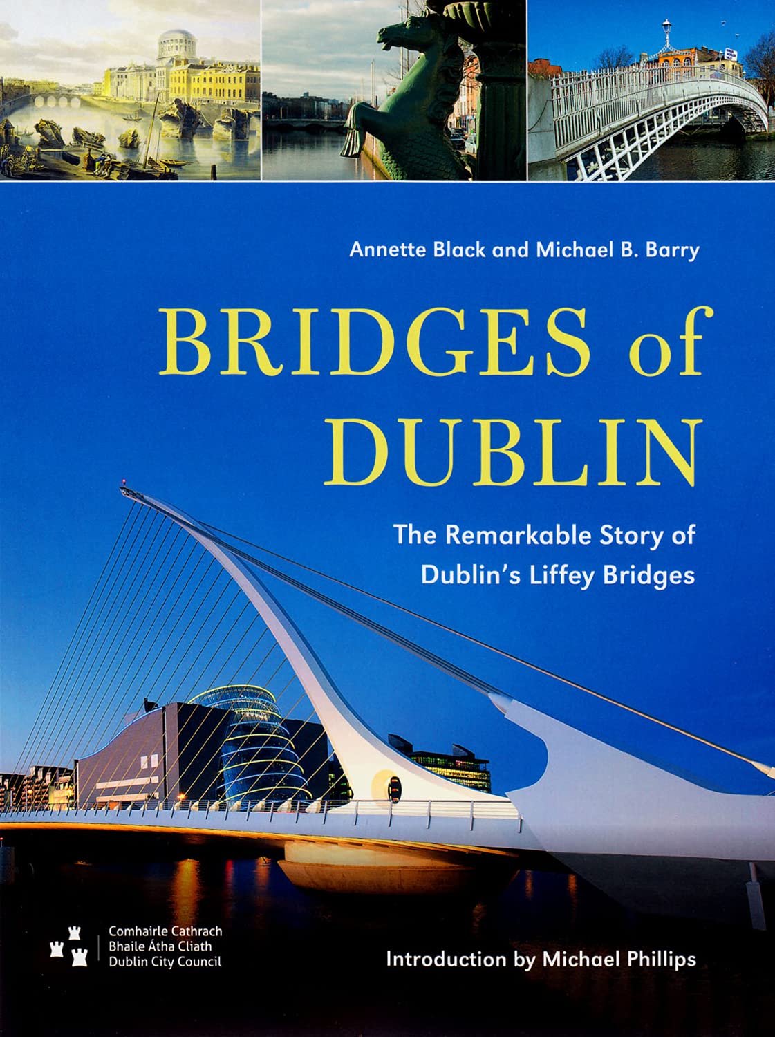 Bridges of Dublin: The Remarkable Story of Dublin's Liffey Bridges book