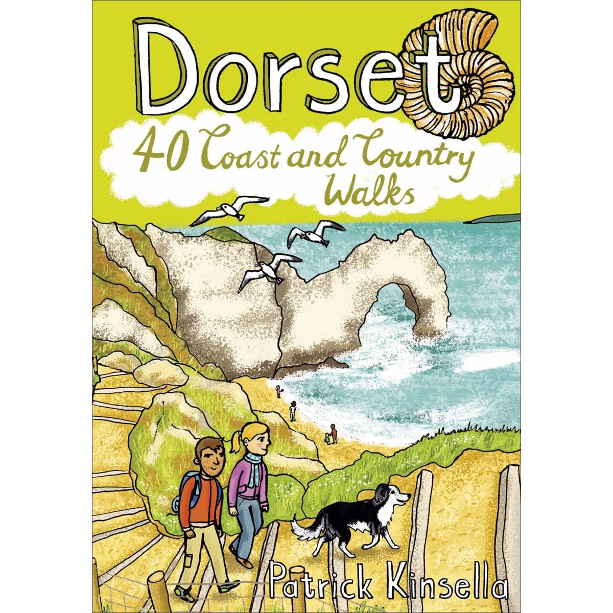 Dorset 40 Coast and Country Walks: (Pocket Mountains) Leisure, Home & Garden