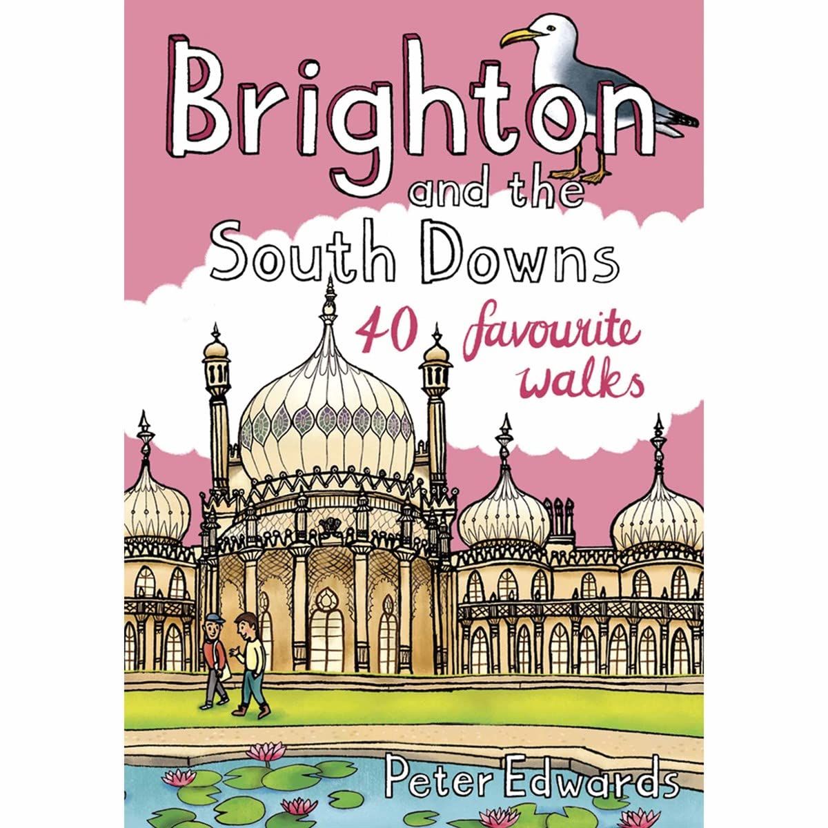 Product Image: Brighton and the South Downs (Pocket Mountains)