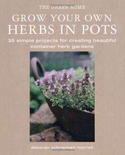 Grow Your Own Herbis in Pots Garden & Plants