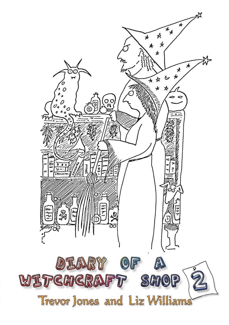 Diary of a Witchcraft Shop 2 book