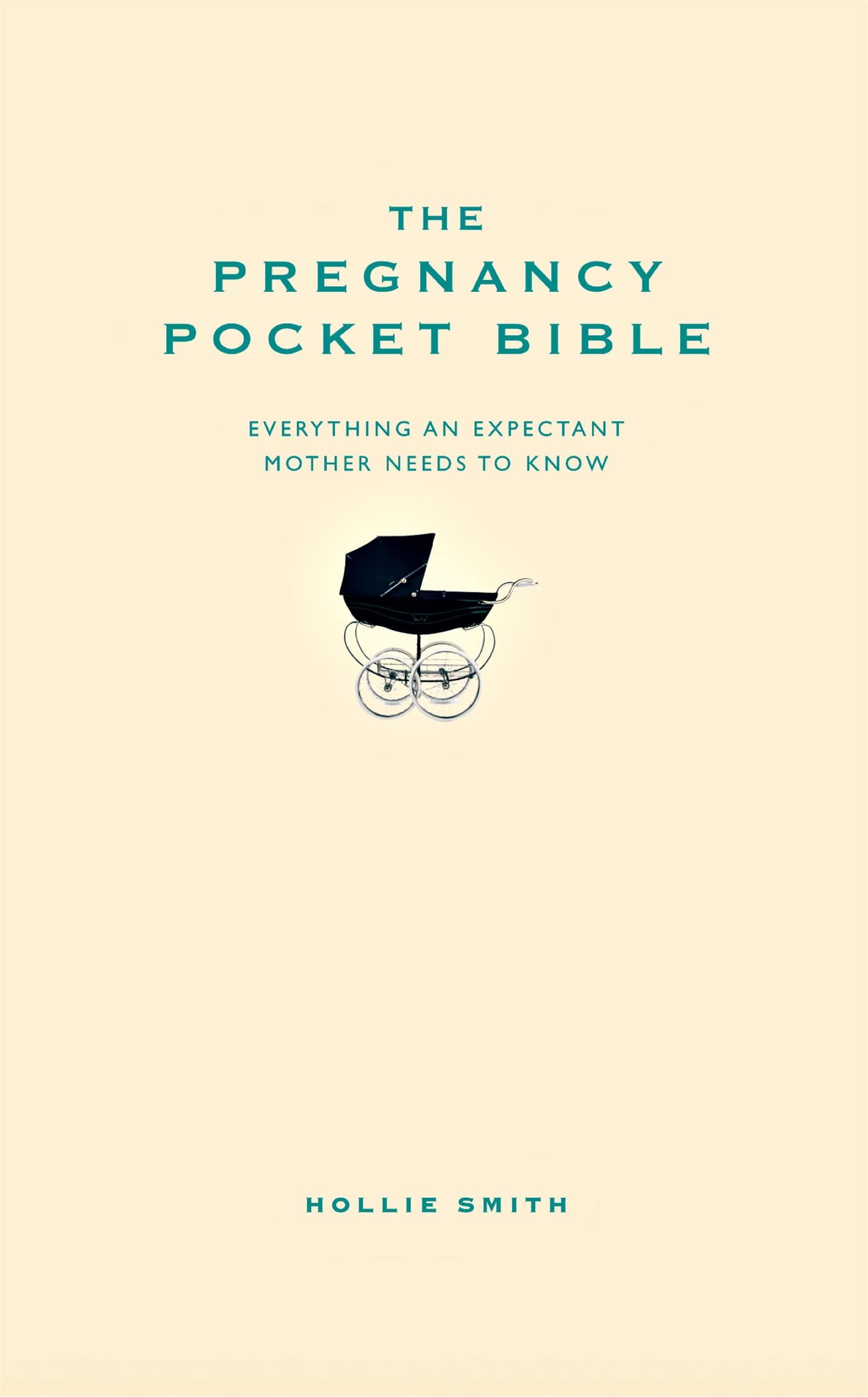 The Pregnancy Pocket Bible: Everything an expectant mother needs to know Lifestyle