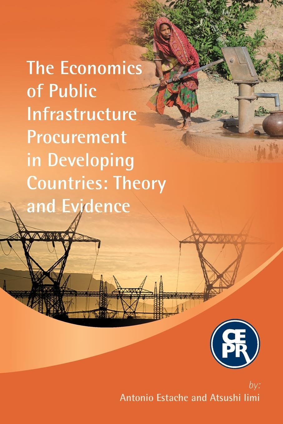 The Economics of Public Infrastructure Procurement in Developing Countries Law