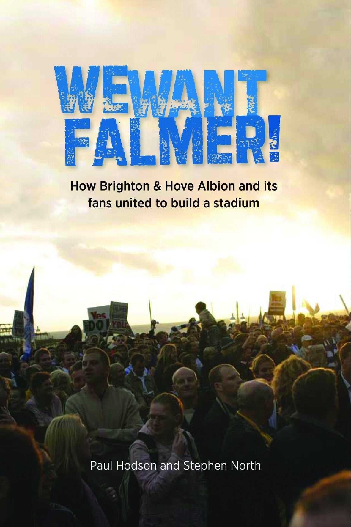 We Want Falmer: How Brighton & Hove Albion Football Club, and Its Fans, United to Build a Stadium book