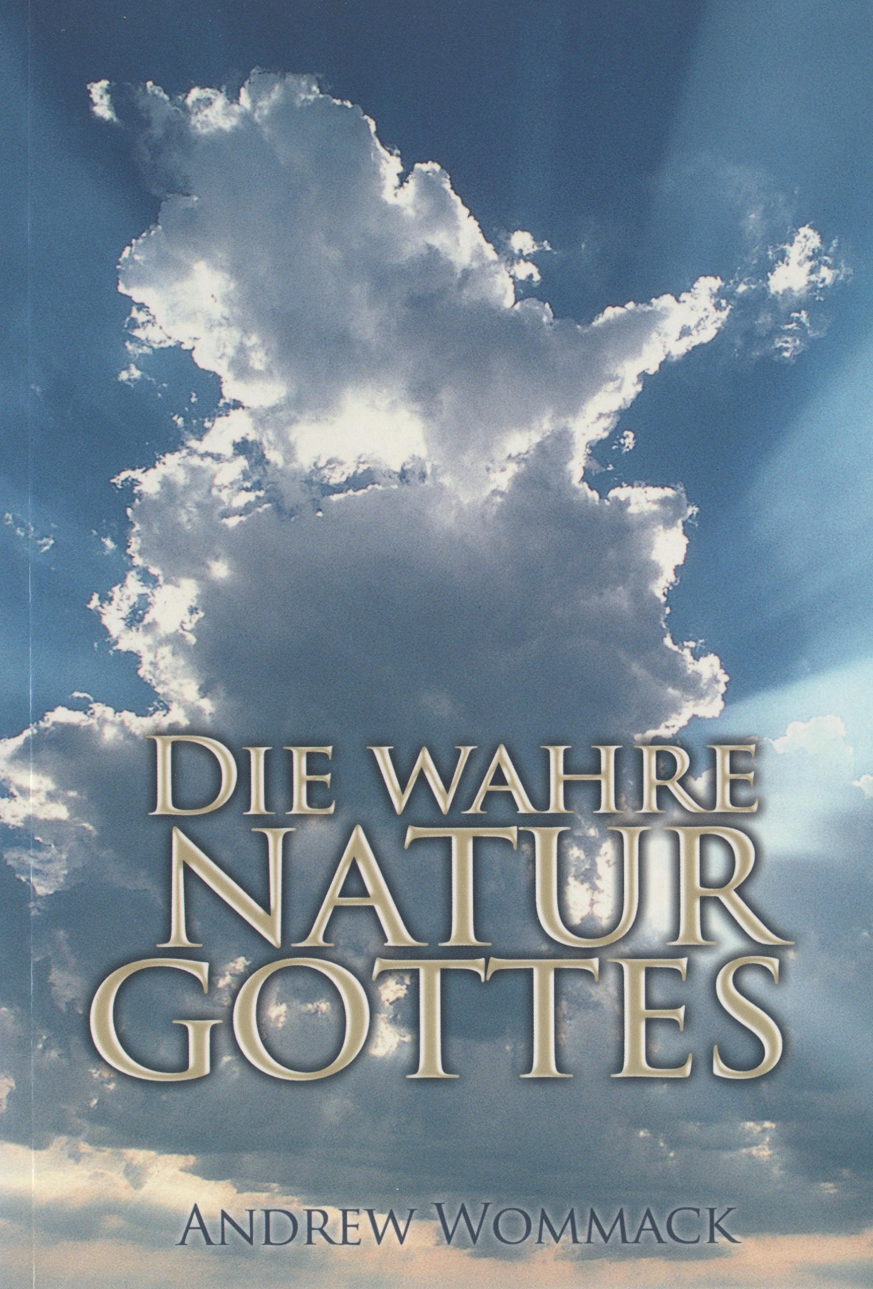 True Nature of God by Andrew Wommack (2012-06-19) Books