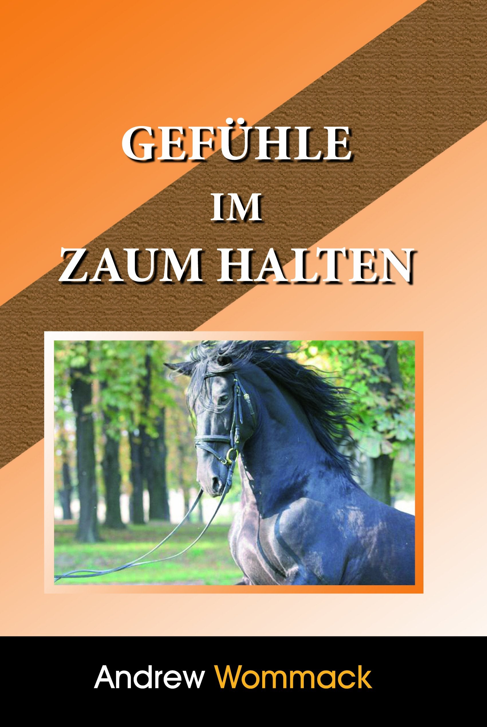 Gefühle Im Zaum Halten Religion & Esotericism