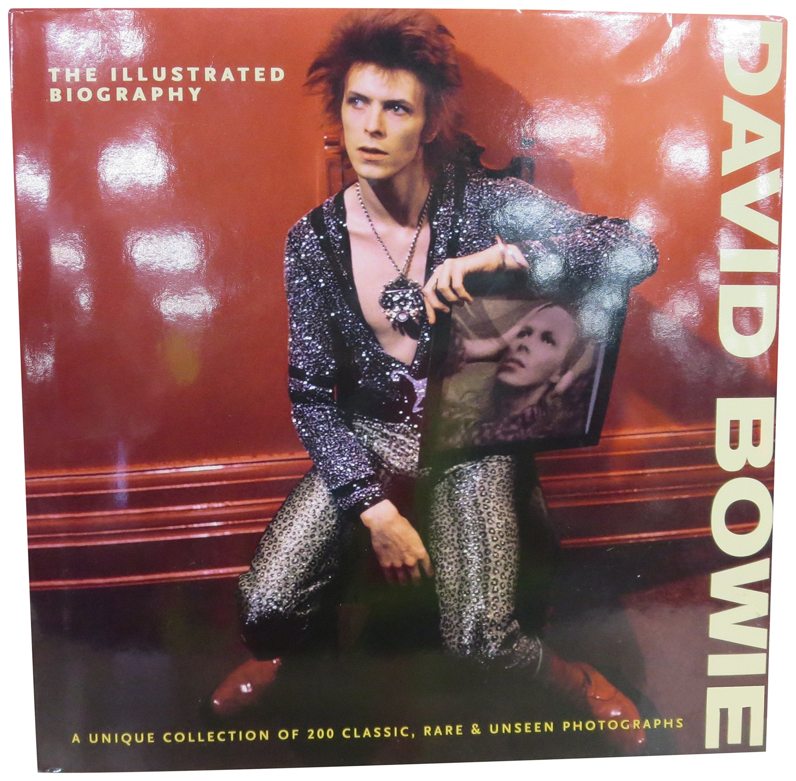 David Bowie the Illustrated Biography (Illustrated Biography S.) Pop culture