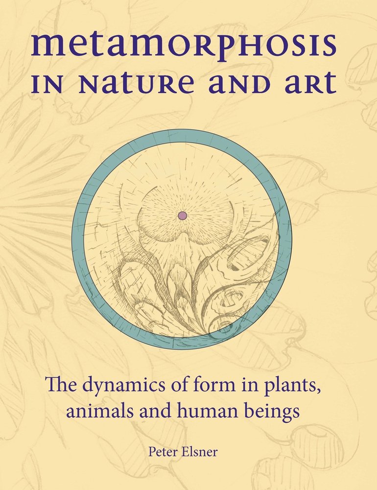 Metamorphosis in Nature and Art: The Dynamics of Form in Plants, Animals and Human Beings (Art & Science) Philosophy