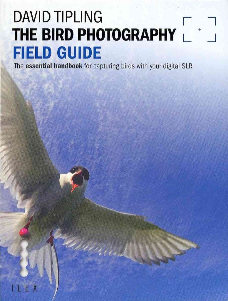 The Bird Photography Field Guide: The Essential Handbook for Capturing Birds with your Digital SLR Film, Art & Culture