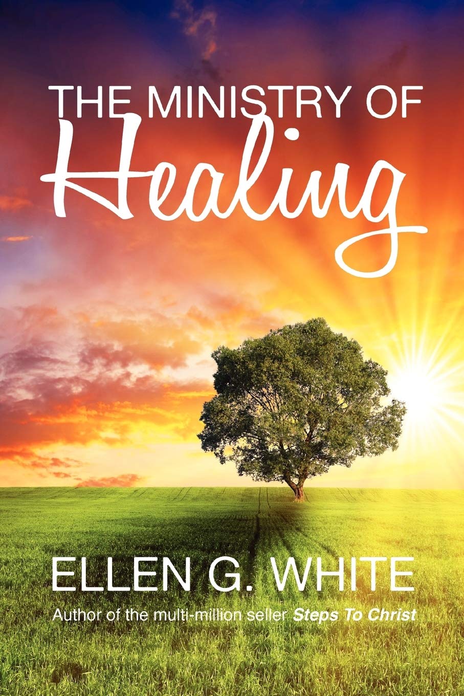 The Ministry of Healing Contemporary literature