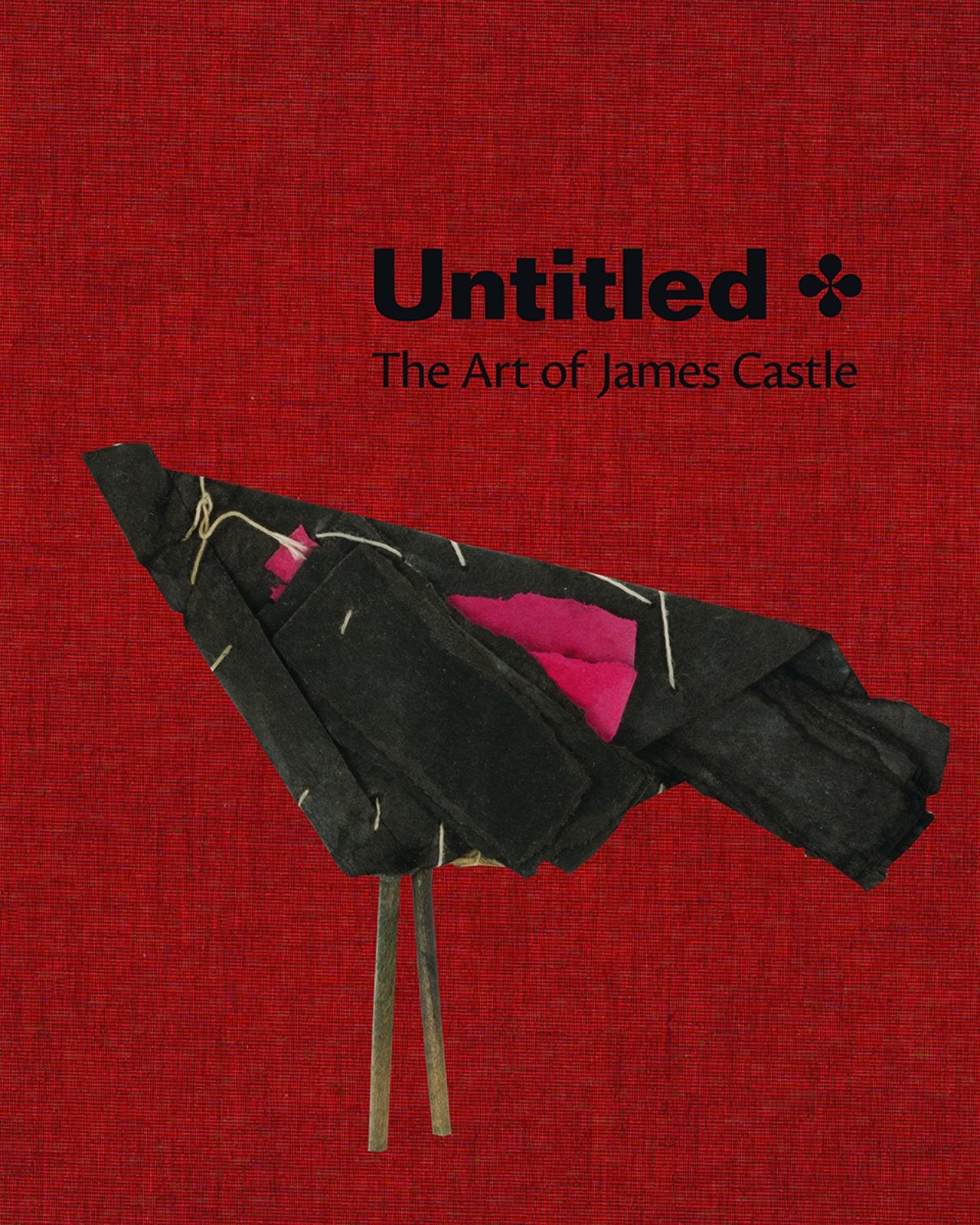 Untitled: The Art of James Castle Film, Art & Culture
