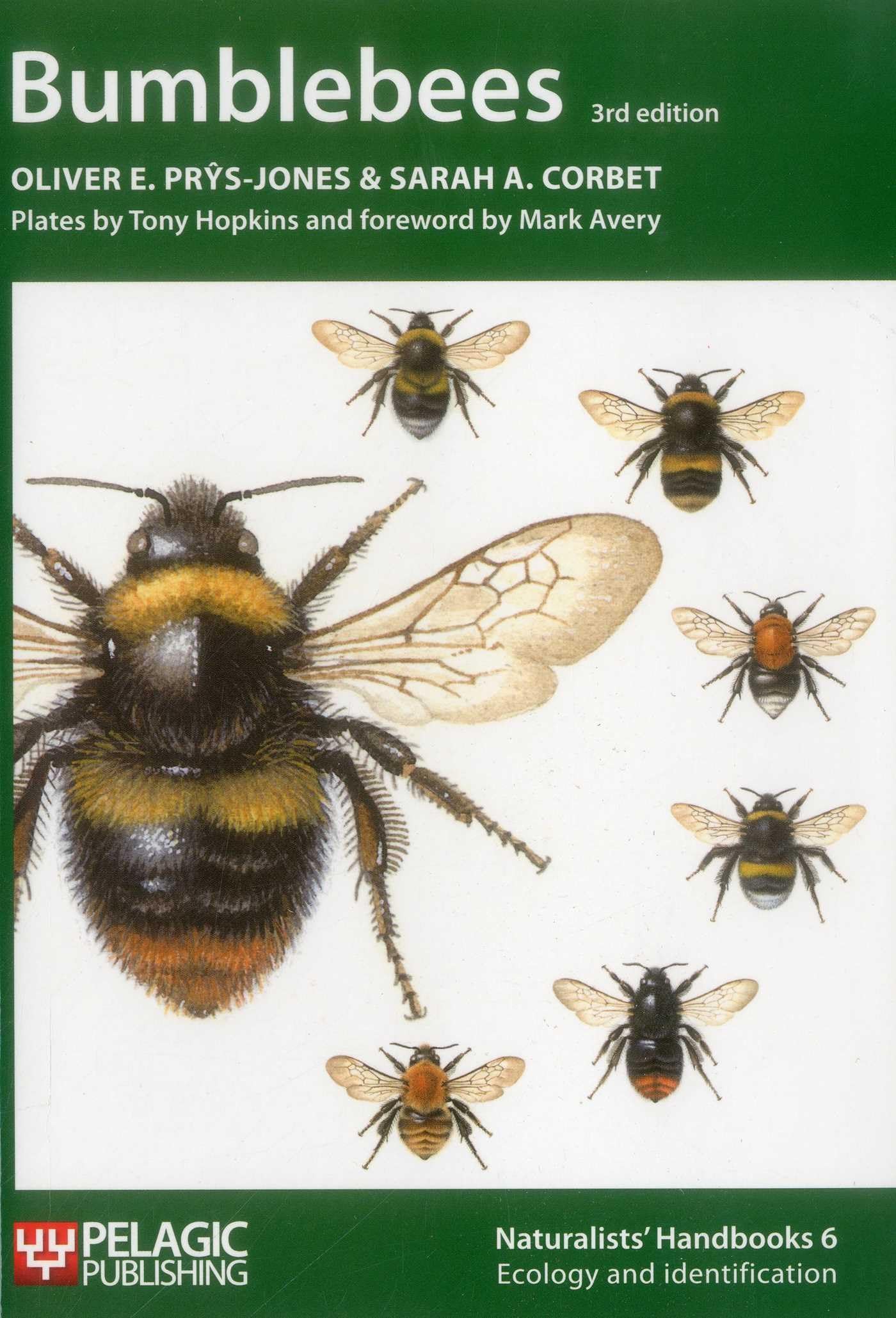 Bumblebees (Naturalists' Handbooks, 6, Band 6) Mathematics