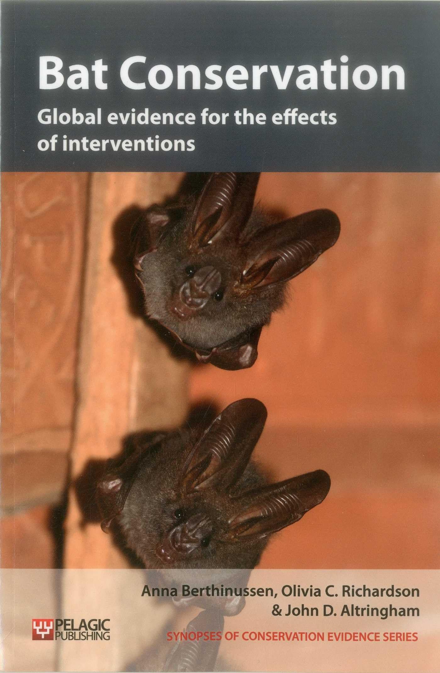 Bat Conservation: Global evidence for the effects of interventions (Synopses of Conservation Evidence, 5, Band 5) Mathematics