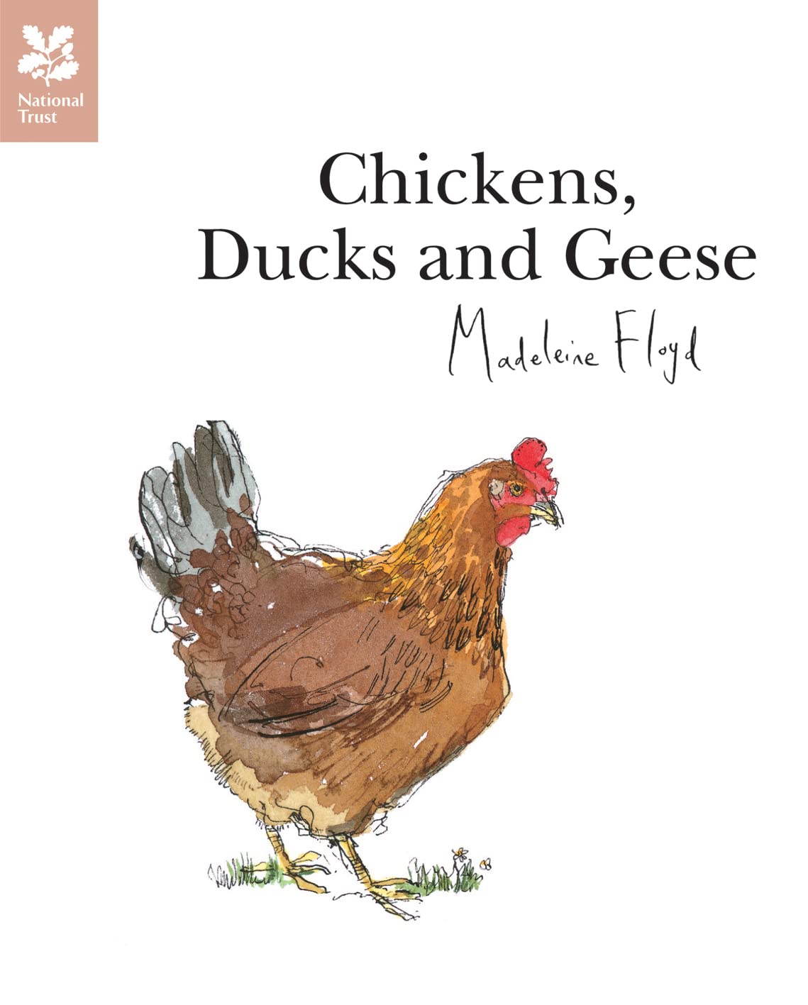 Chickens, Ducks and Geese (National Trust Art & Illustration) Film, Art & Culture