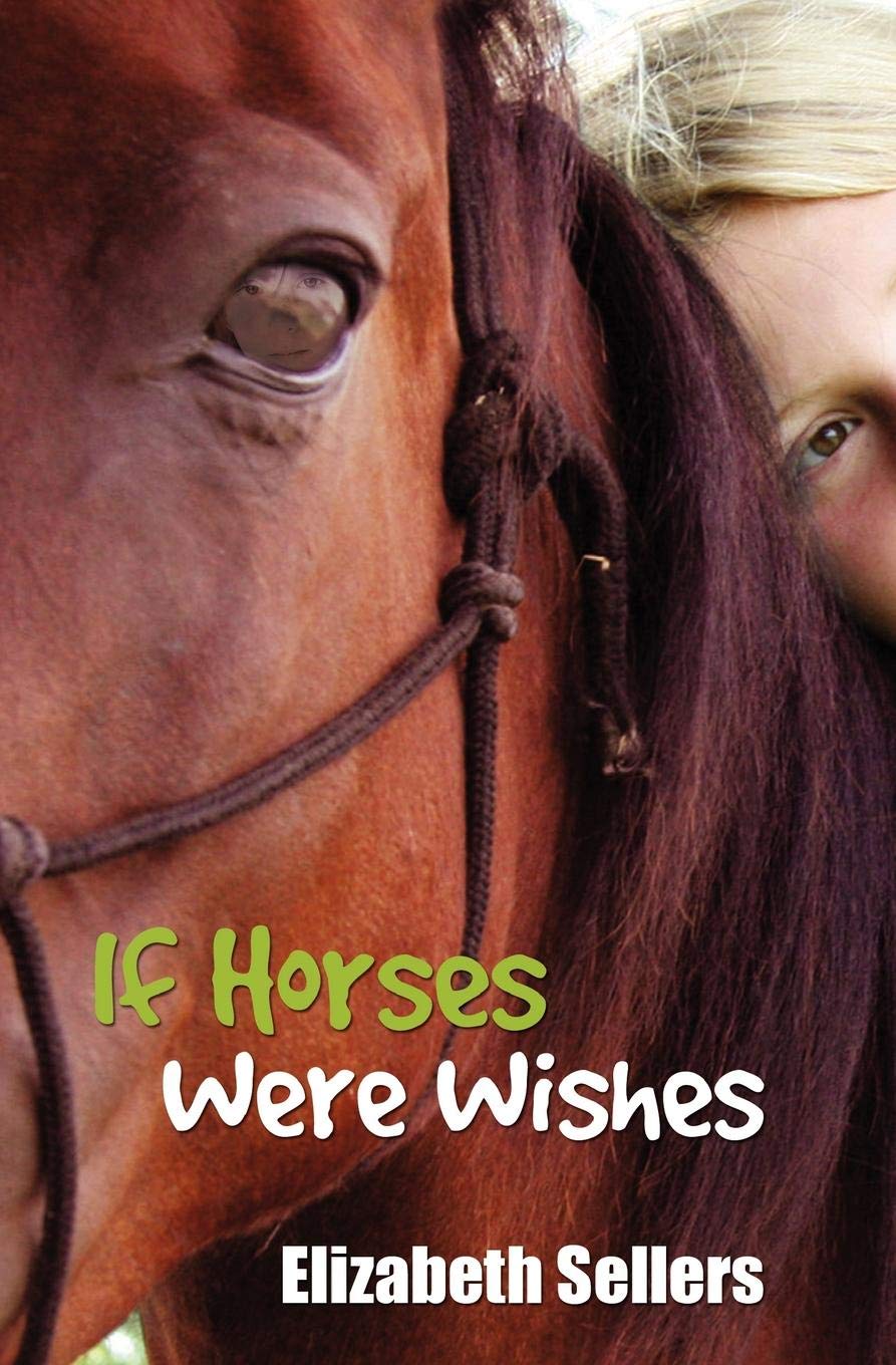 If Horses Were Wishes (The Red Horse of Fallon, Band 1) Leisure & Fun