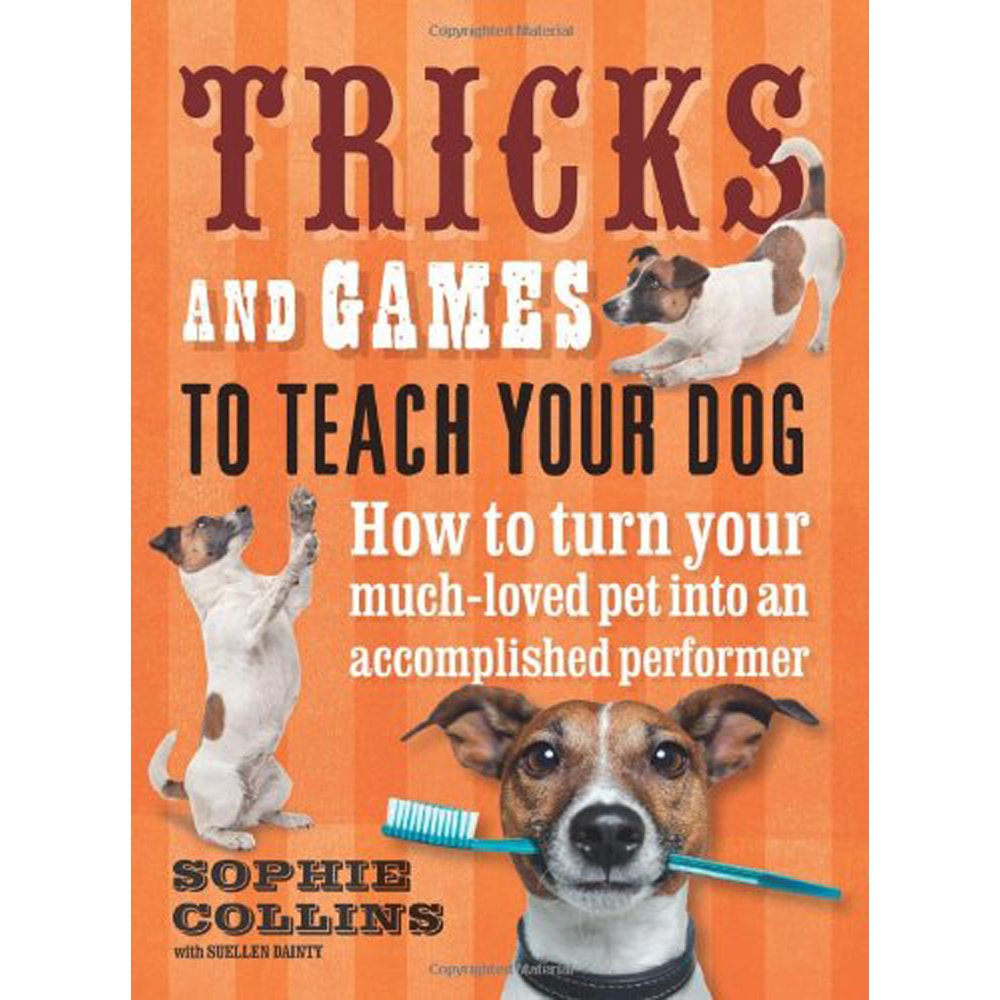 Tricks and Games to Teach Your Dog: How to Turn Your Much-Loved Pet into an Accomplished Performer book