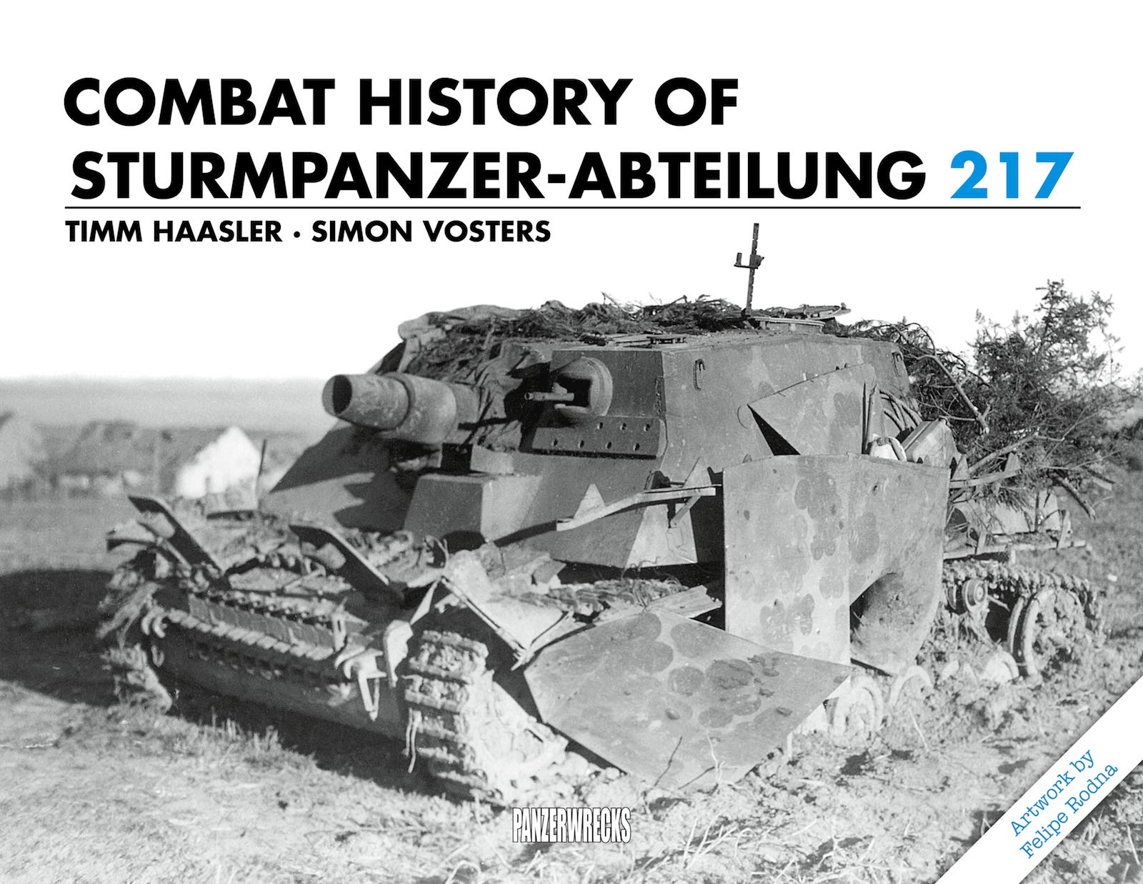 Combat History of Sturmpanzer-Abteilung 217 Social Sciences