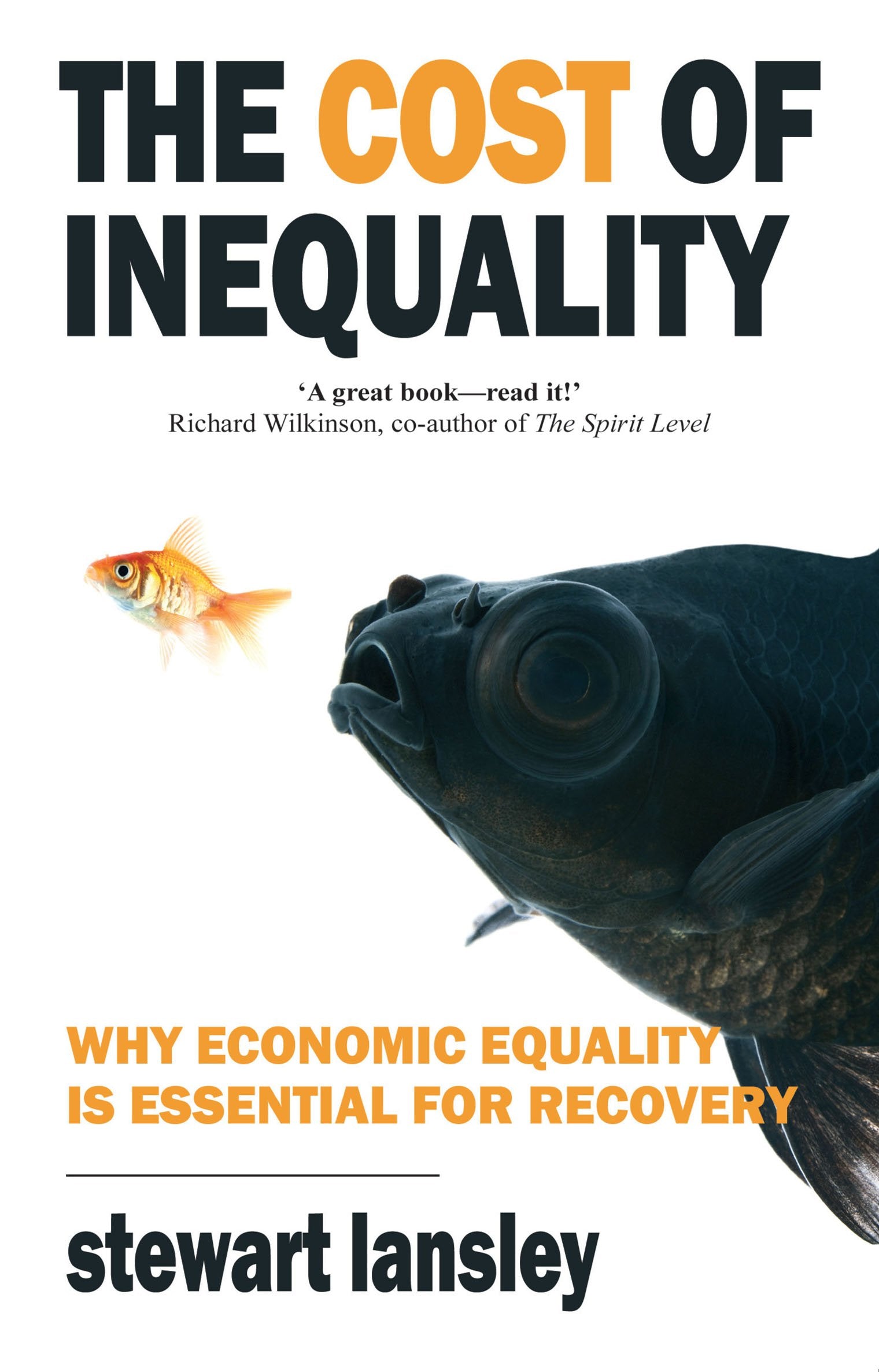 The Cost of Inequality: Why Economic Equality is Essential for Recovery Business, Finance & Career